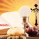 Ekaristi Suci: Sejarah & Perannya dalam Kehidupan Umat Katolik